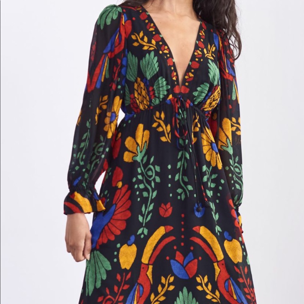 Anthropologie Farm Rio dress